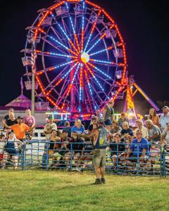 Ferris Wheel at Night 2