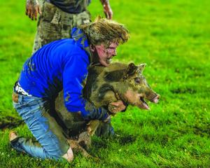 Muddy Pig Chase