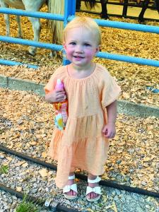 Petting Zoo Goer - Ivory Brown