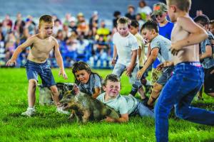 Pig Chase