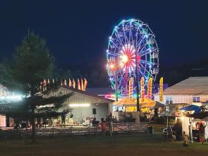 Ferris wheel at night