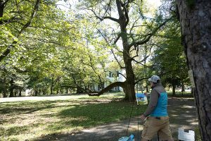 En Plein Air Event 2025