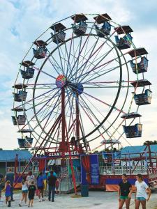 2025 Bourbon County Fair Memories